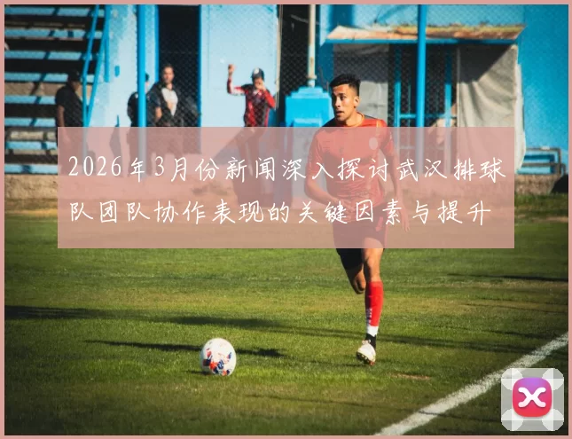 2026年3月份新闻深入探讨武汉排球队团队协作表现的关键因素与提升策略分析